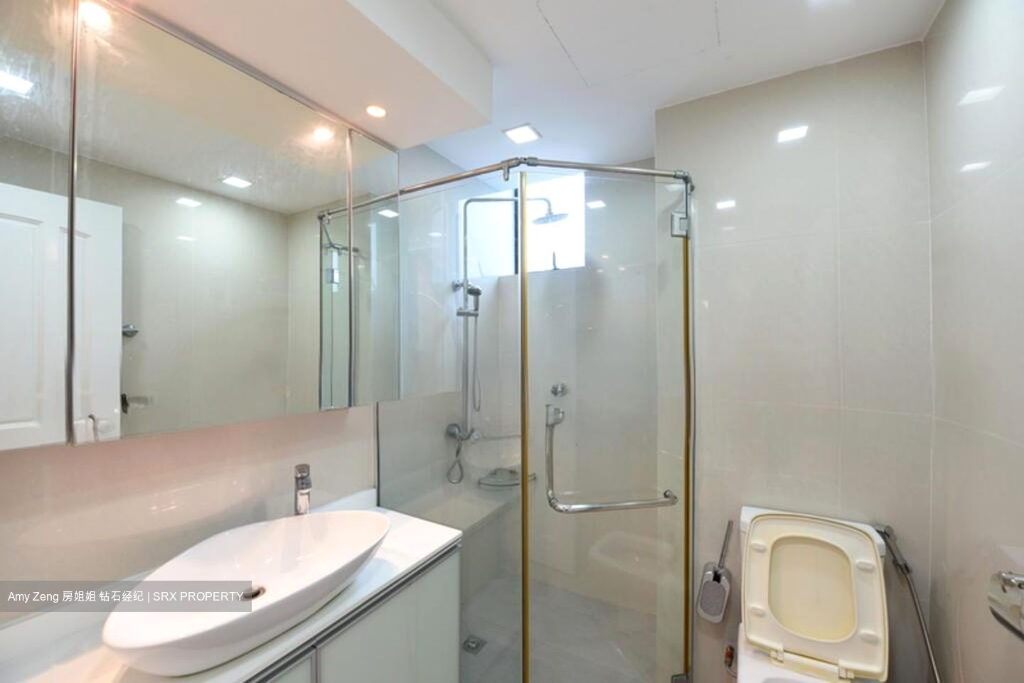 Spring Grove (D10), Condominium #503685531